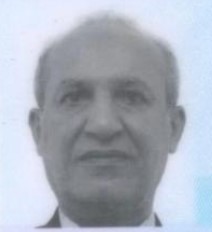 فریدون رهنما